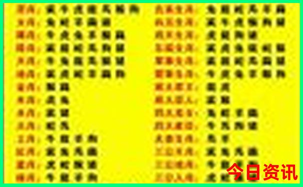 暑假适合带老人去哪里玩